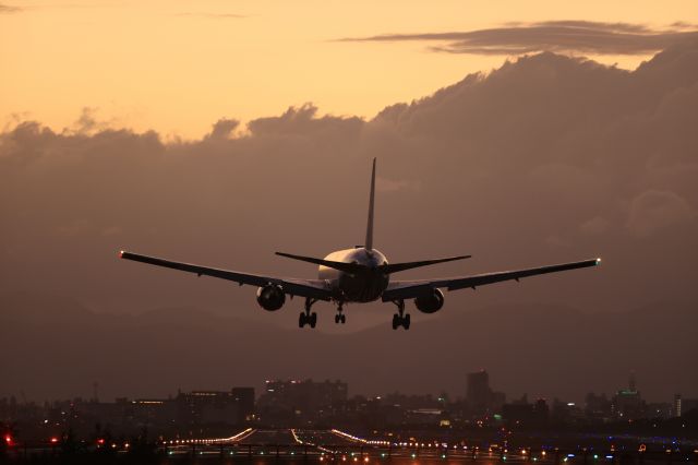 BOEING 767-300 (JA616A) - August 23,2022:HND-HKD.