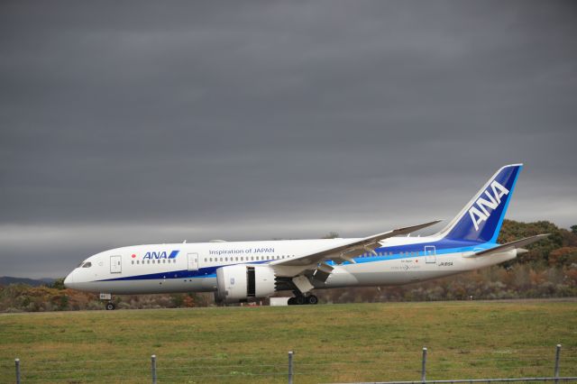Boeing 787-8 (JA815A) - November 04, 2024:HND-HKD.