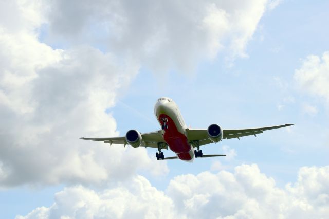 Boeing 787-8 (VT-ANN)