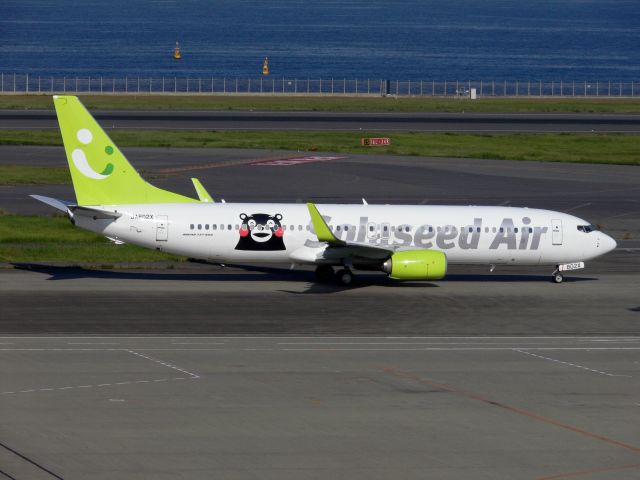 Boeing 737-800 (JA802X)