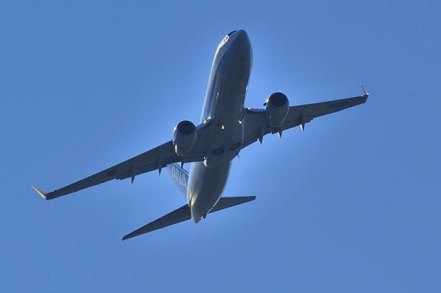 Boeing 737-800 (JA52AN) - 2013