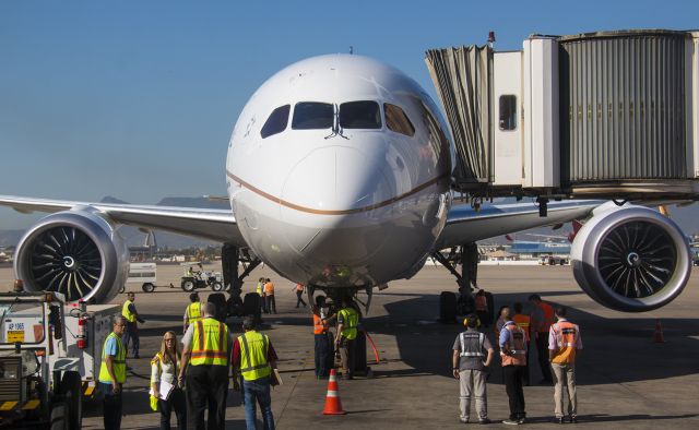 Boeing 787-9 Dreamliner (N13954) - Aeroporto Galeão Rio De Janeiro