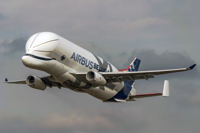 Airbus A330-300 (F-WBXL)