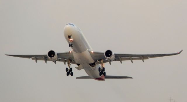 Airbus A330-300 (EC-LUB)