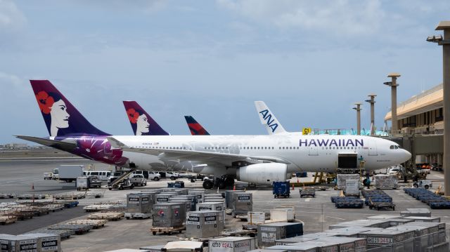 Airbus A330-200 (N380HA) - At Honolulu, parked at the gate. 