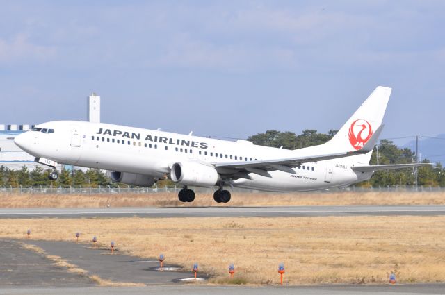 Boeing 737-800 (JA348J)