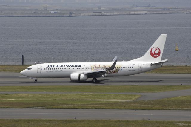 Boeing 737-800 (JA339J) - Landing at Haneda Intl Airport Rwy34R on 2013/05/16 "No-3 JAL Happiness Express"