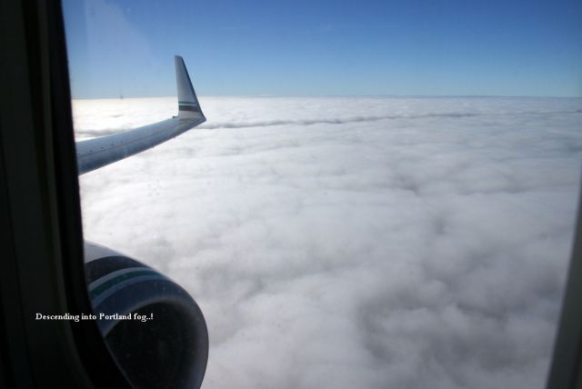 Boeing 737-800 (N551AS) - ENR KSJC - KPDX my 1st 737-800 flight and very smooth! This just before desending into KPDX. Jan 01, 2011