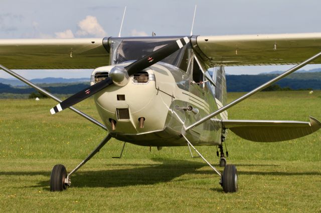 Cessna 175 Skylark (N8131T)