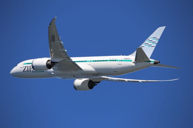 Boeing 787-8 (JA822J)