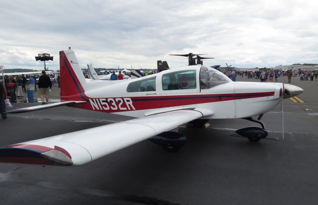 Experimental  (NI532R) - Experimental 1991 Van Den Bosch Thann  Rans S-10 at Manassas Air Show 2016