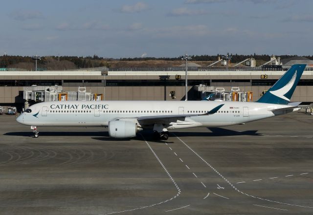 Airbus A350-900 (B-LRR) - Tokyo-Narita(NRT) 2019/01/09
