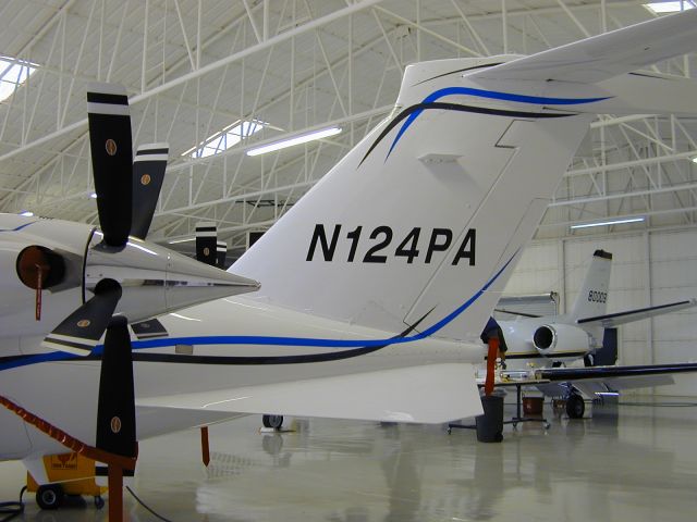 Piaggio P.180 Avanti (N124PA)