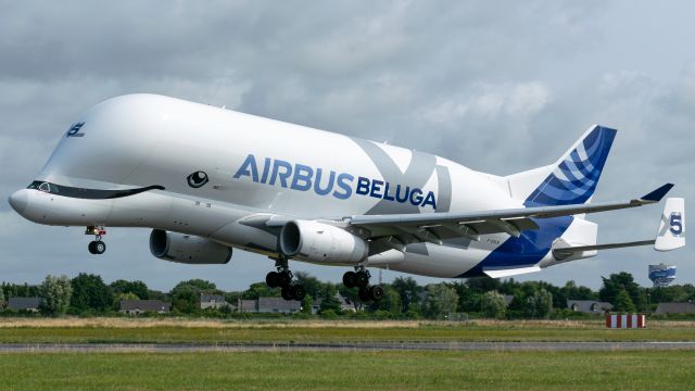 AIRBUS A-330-700 Beluga XL (F-GXLN) - Beluga XL N°5 landing runway 25