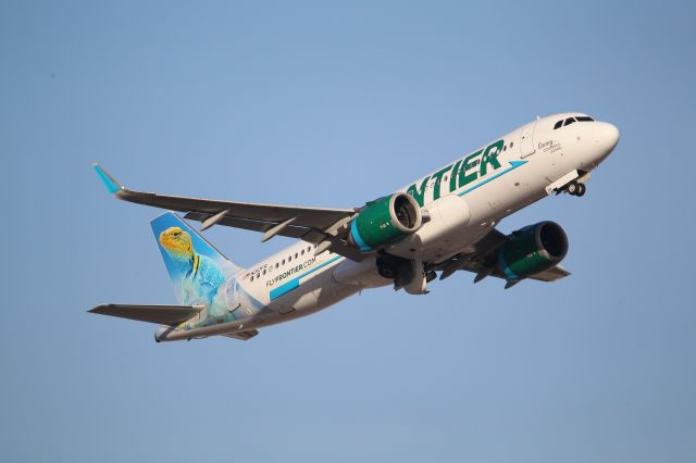 Airbus A320neo (N310FR)