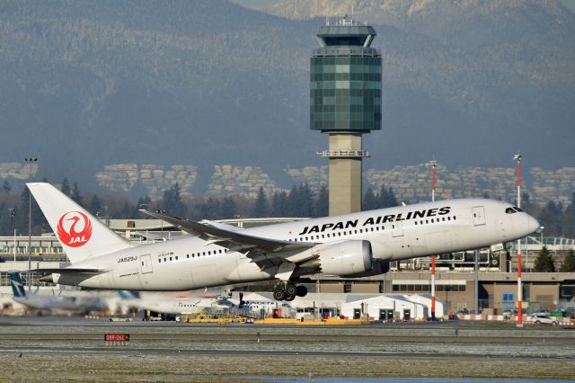 Boeing 787-8 (JA829J)