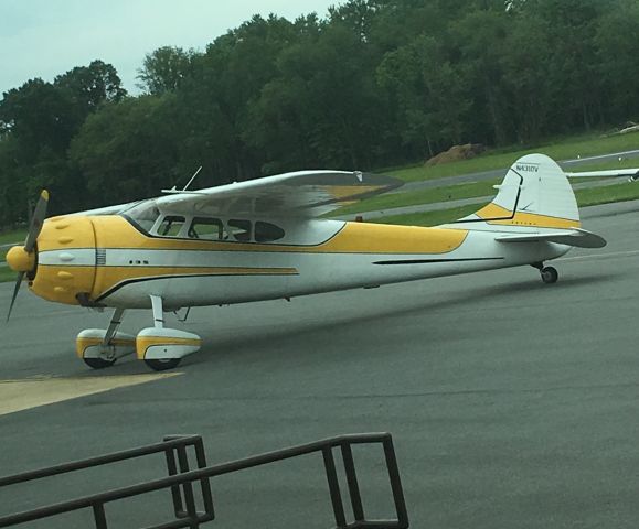 Cessna 190 (N4310V)