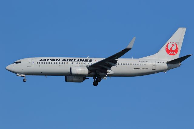 Boeing 737-800 (JA346J)