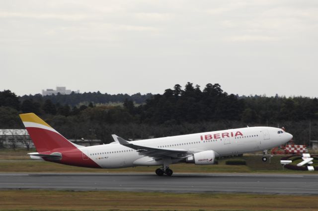 Airbus A330-200 (EC-MLP) - Departure at Narita Intl Airport Rwy34L on 2016/11/16
