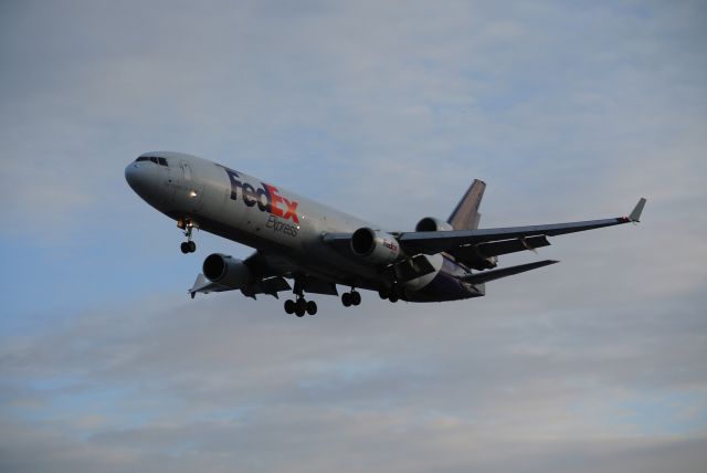 Boeing MD-11 (N572FE) - Short Final 05 Fed Ex heavy with a fairly strong crosswing from the north, touched down hard on the left gear! Wouldnt recomend spotting pearson right now unless your willing to brave the cold like we did!! It was below -10 C plus windchill, we could only stay out for a few aircraft then had to go back to the car to warm back up