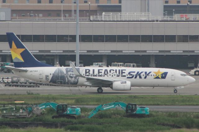 Boeing 737-800 (JA73NY)