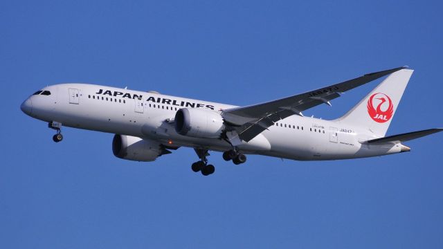 Boeing 787-8 (JA847J)
