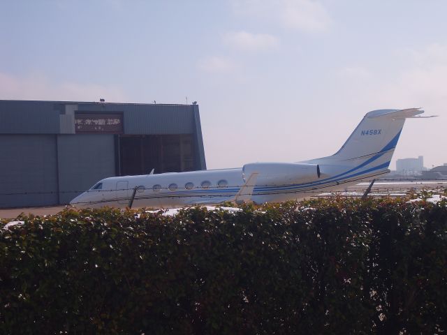 Gulfstream Aerospace Gulfstream IV (N458X) - Hedge in the way.