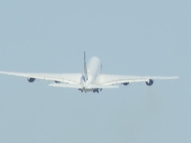 Airbus A380-800 (D-AIMF)