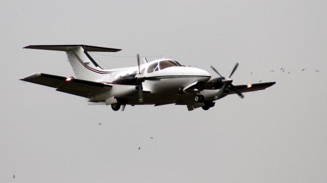 Embraer EMB-121 Xingu (PT-OZS) - BIRDS