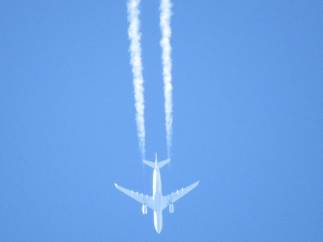 Airbus A330-200 (N291AY) - AA704 - CLT-FRA