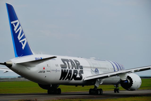Boeing 787-9 Dreamliner (JA873A) - JA-873A