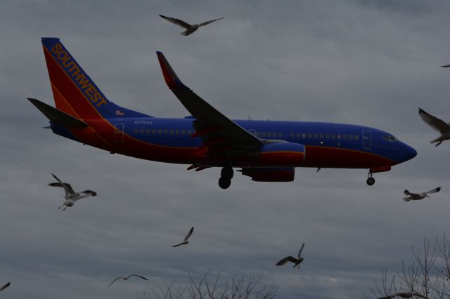 Boeing 737-700 (N7703A)