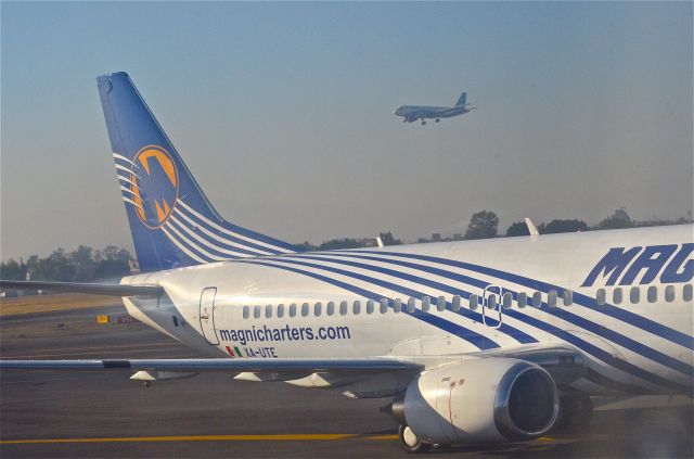 Boeing 737-700 (XA-UTE) - Mexico City Intl. MMMX