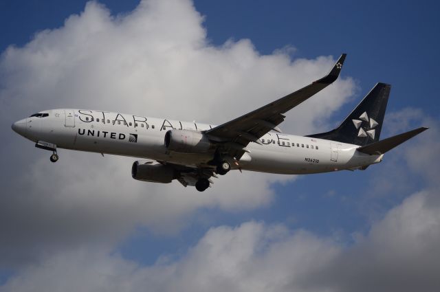 Boeing 737-700 (N26210) - UNITED 737-800 in "STAR ALLIANCE" c/s #1--#N26210 lands 24R @ LAX!