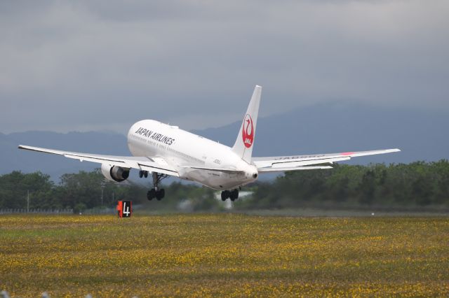 BOEING 767-300 (JA656J) - 18 June 2016:HKD-HND.