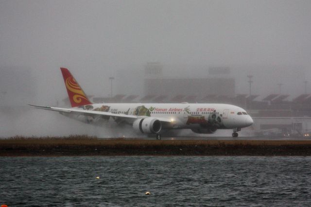 Boeing 787-9 Dreamliner (B-1540) - Splashy touchdown for Kung Fu Panda