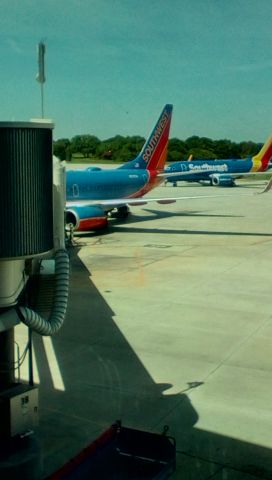 Boeing 737-700 (N707SA) - Dinner time departure to KSTL.