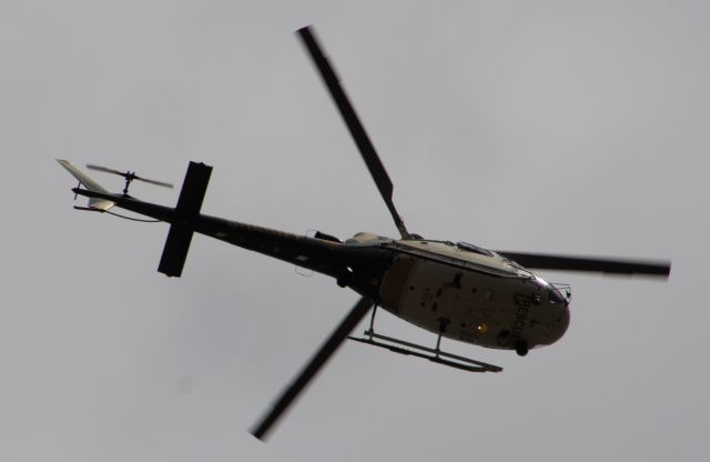 Eurocopter AS-350 AStar (N183SD)