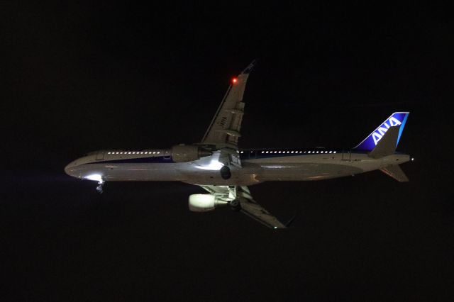 Airbus A321 (JA111A) - April 4th 2019:HND-HKD.