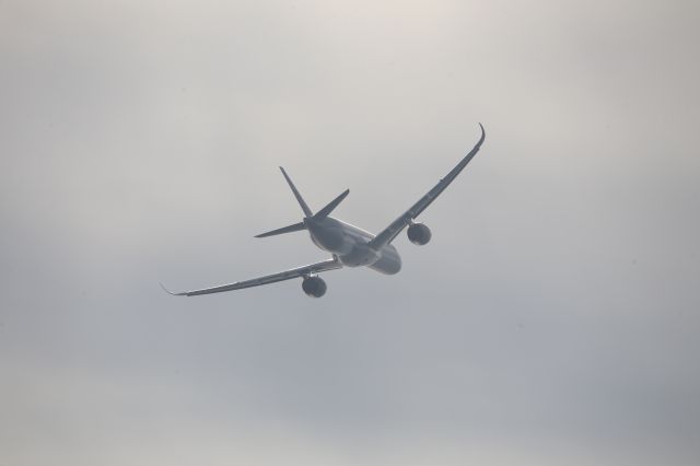 Airbus A350-1000 (A7-ANN)