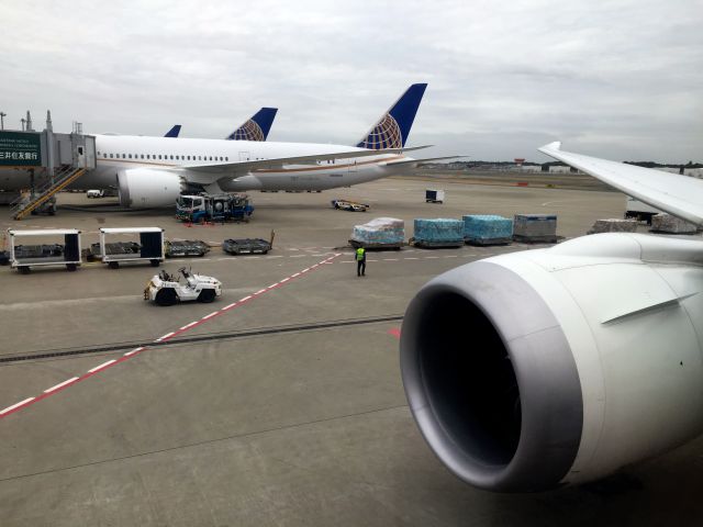 Boeing 787-8 — - A bevy of Star Alliance 787s in Narita