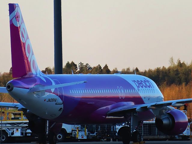 Airbus A320 (JA09VA) - I took this picture on Mar 12, 2020.