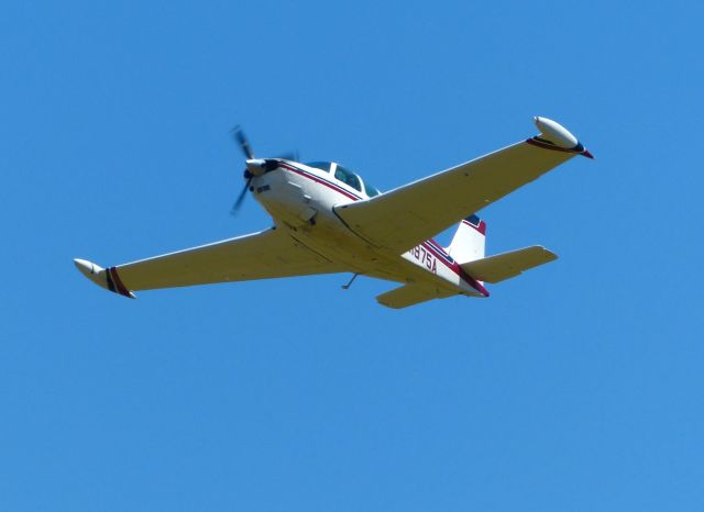 Beechcraft 35 Bonanza (N1975A)