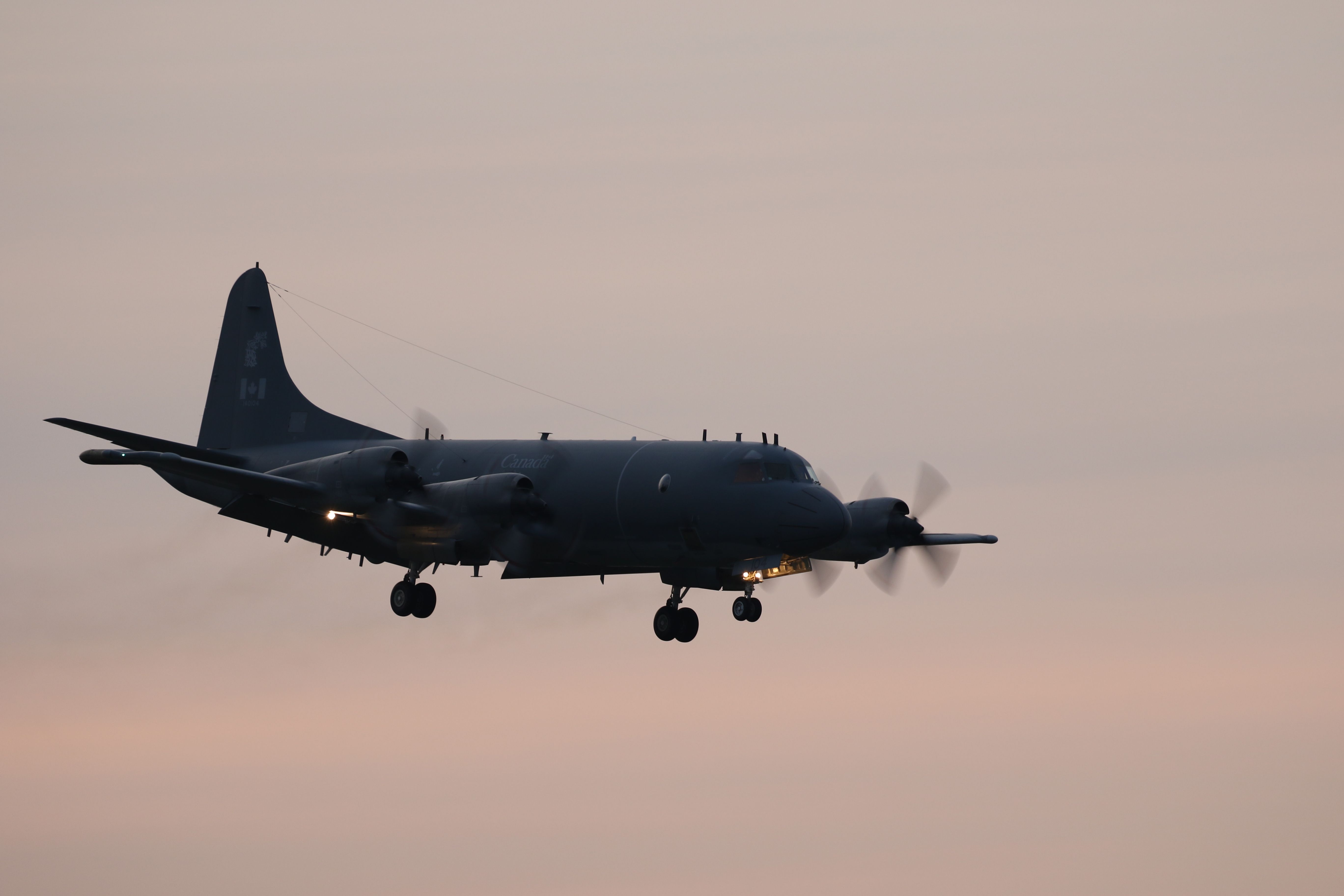 Lockheed P-3 Orion (14-0104) - 06 June 2016:Royal Canadian Air Force, Lockeed CP-140 Aurora