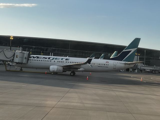 Boeing 737-800 (C-FWVJ) - Picture of WestJet parked at gate