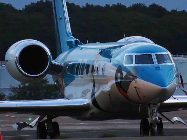 Gulfstream Aerospace Gulfstream G650 (VP-CJJ) - I took this picture on Jul 23, 2019.