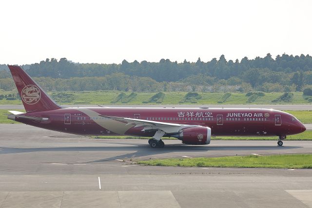 Boeing 787-9 Dreamliner (B-20EC)