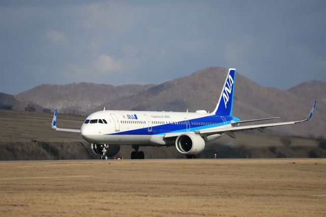 Airbus A321 (JA134A) - March 16th 2019:HKD-HND.