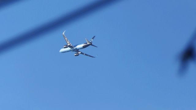 Airbus A321neo (F-HBUZ)