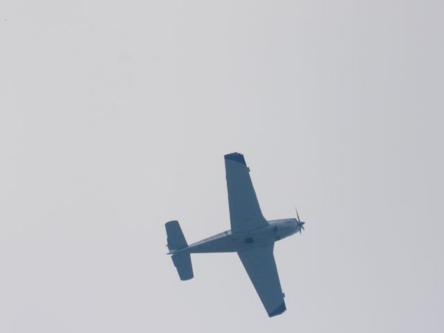 Beechcraft Bonanza (36) (N335P) - 08/01/21
